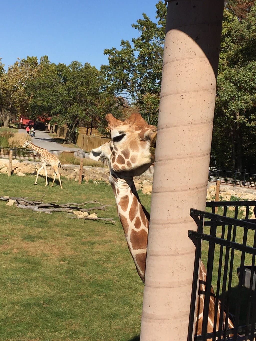 Niabi Zoo