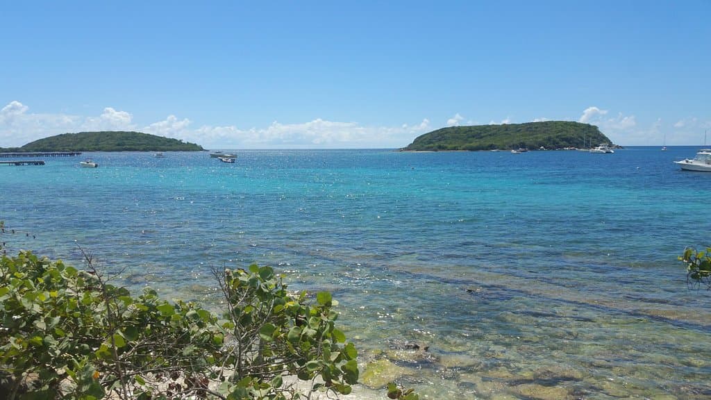 View from the boardwalk in Esperanza