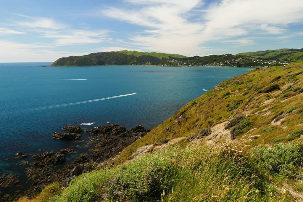 Porirua Harbour