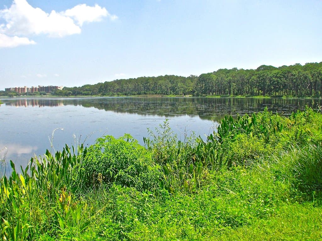 Taylor Lake