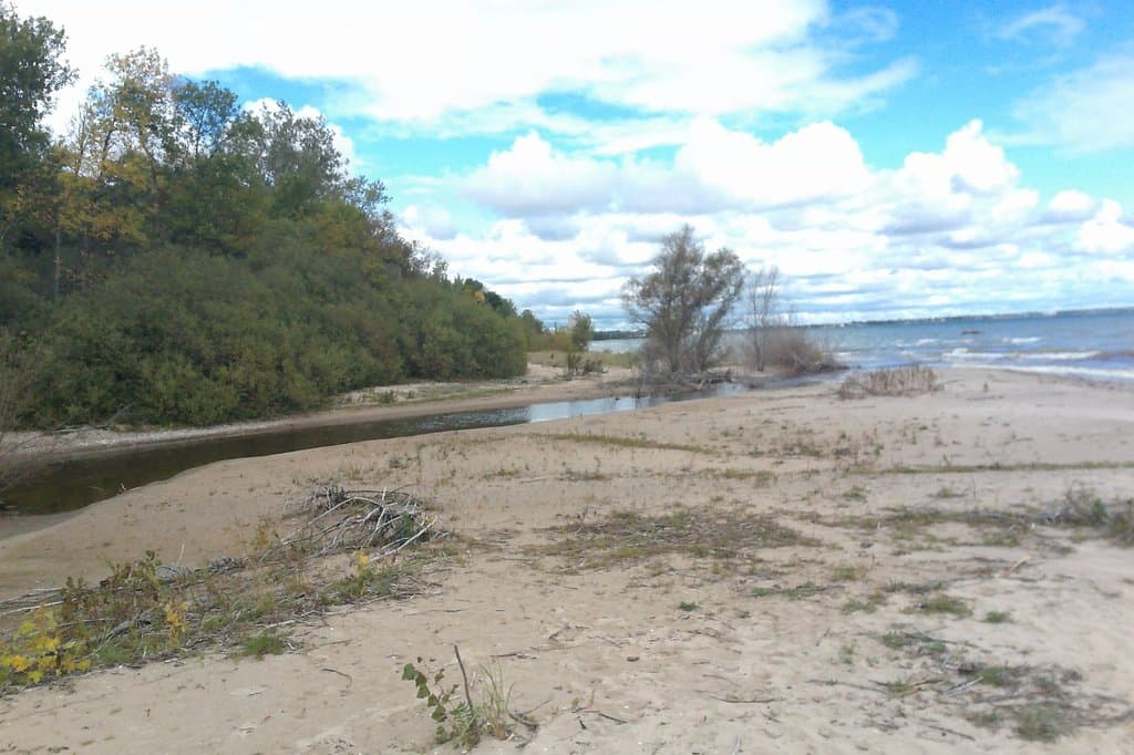 Silver Creek meets Lake Michigan