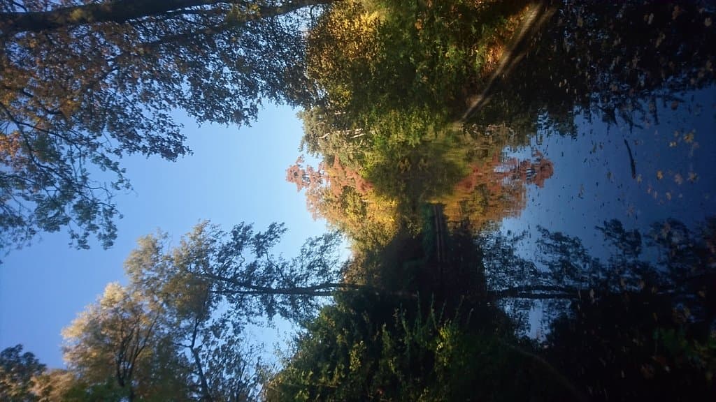 Julianapark