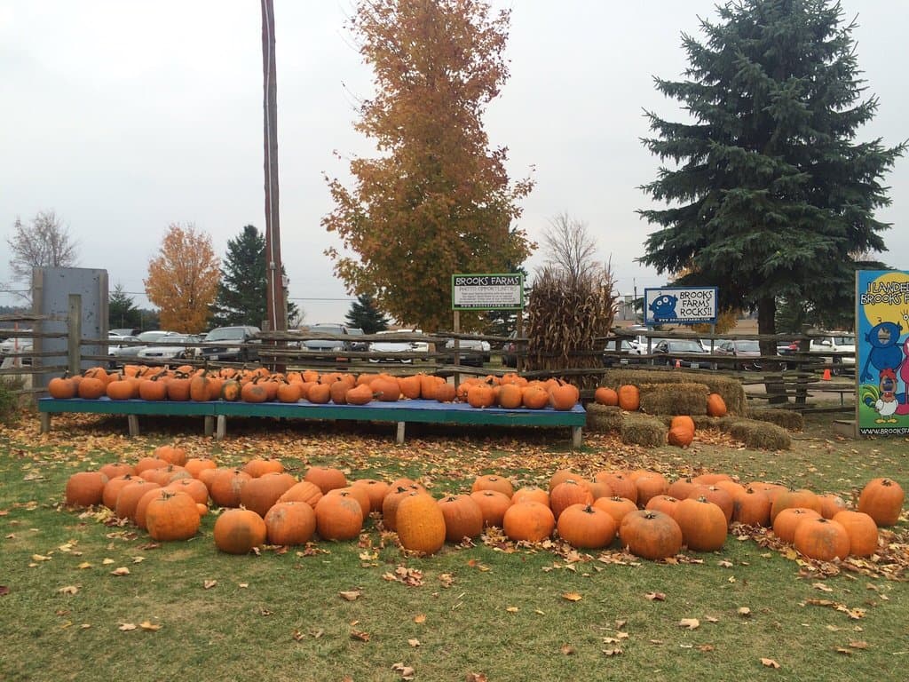 Brooks Farm