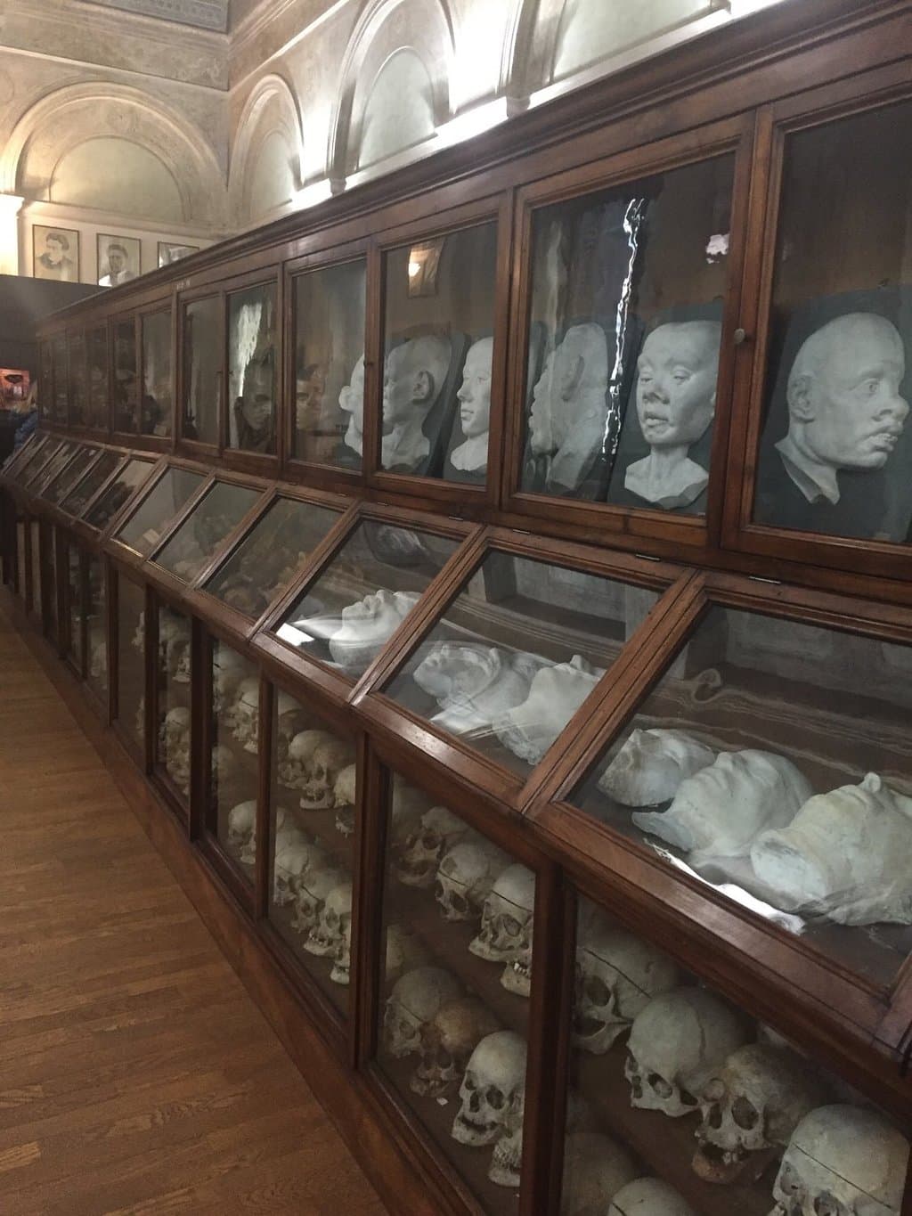 Museo Cesare Lombroso