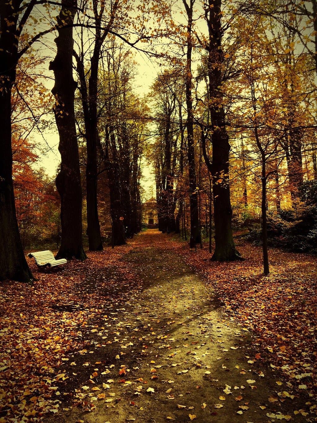 Wonderful automn...!