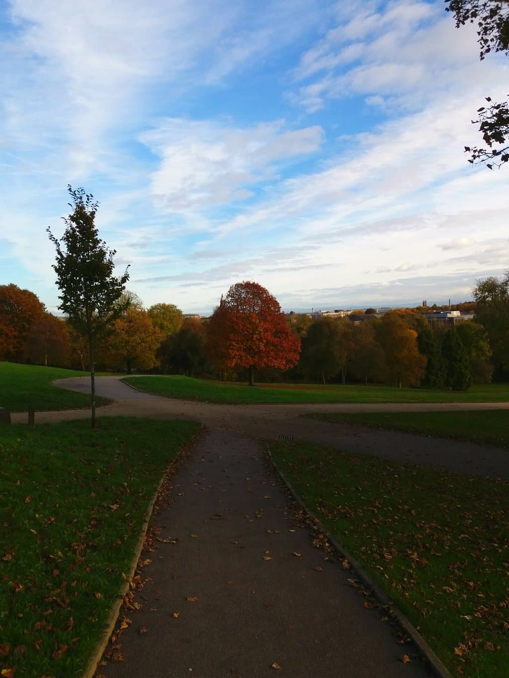Autumn in Queens Park