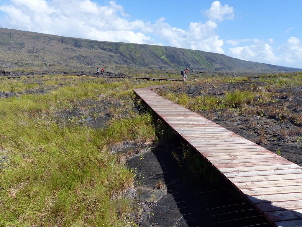 Boardwalk by the Petroglyphs