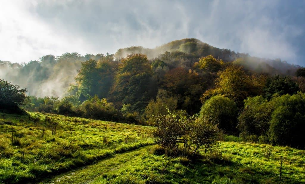 RSPB Coombes Valley