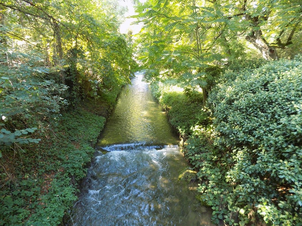 Canal Alter Botanischer Garten