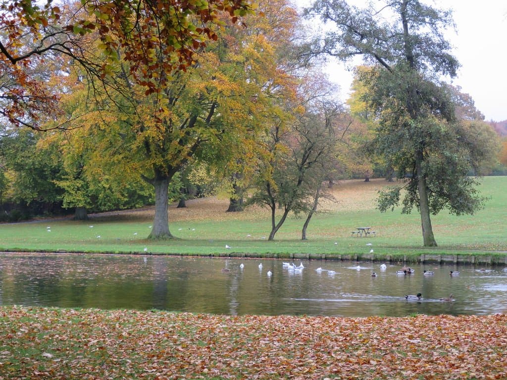 Byparken