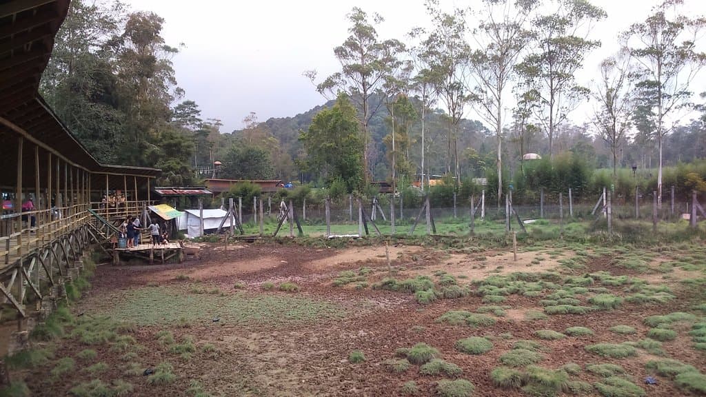 Pemandangan sekitar