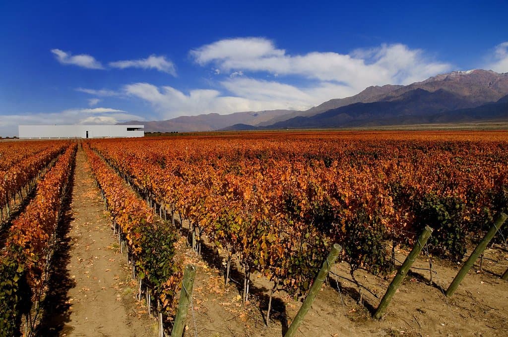 Bodega Rolland