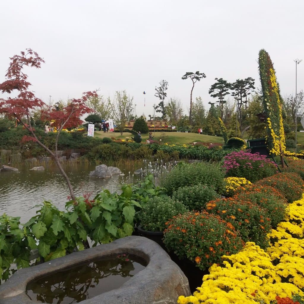 Around the pond