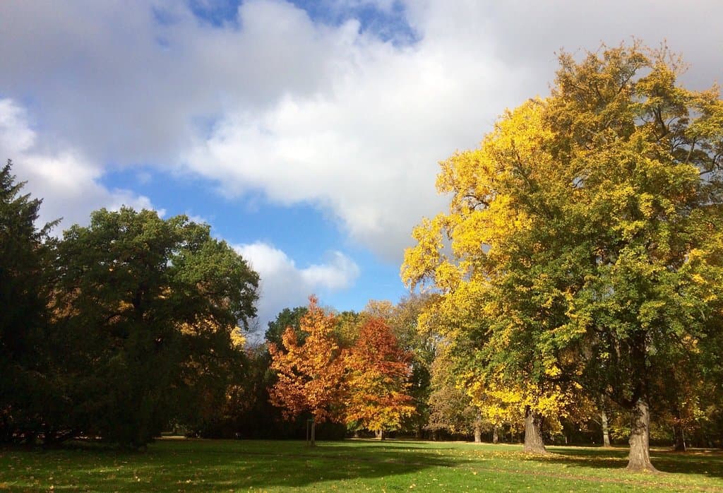 Herrenkrugpark