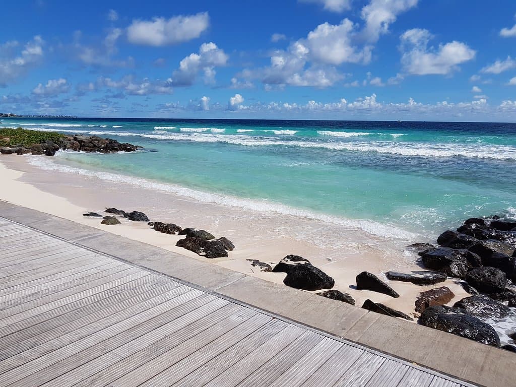 Richard Haynes Boardwalk