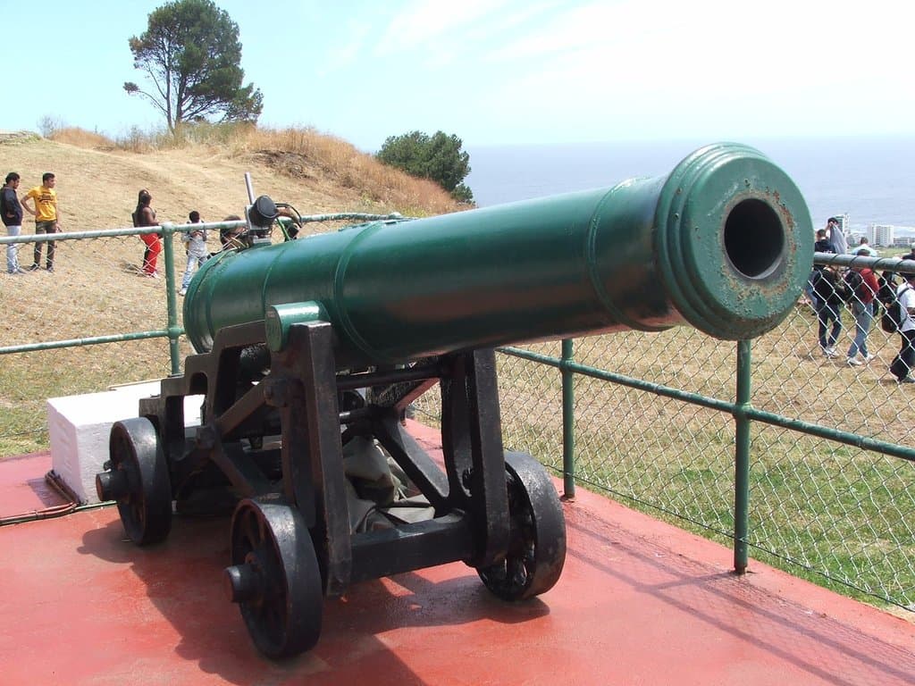 One of the two guns