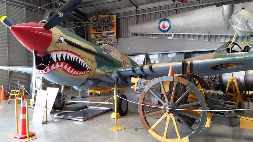 This "shark" was restored from wreckage of two planes!