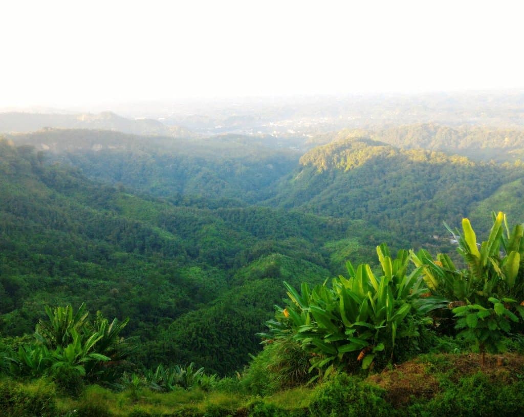 View from the top