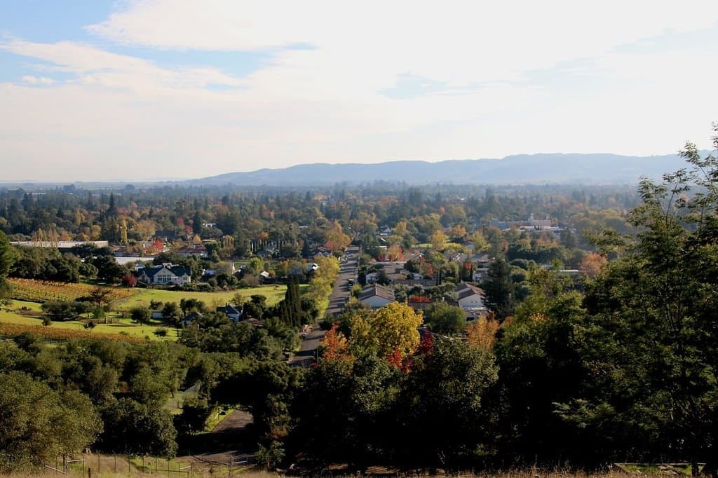 View of Sonoma from top of cemetery.