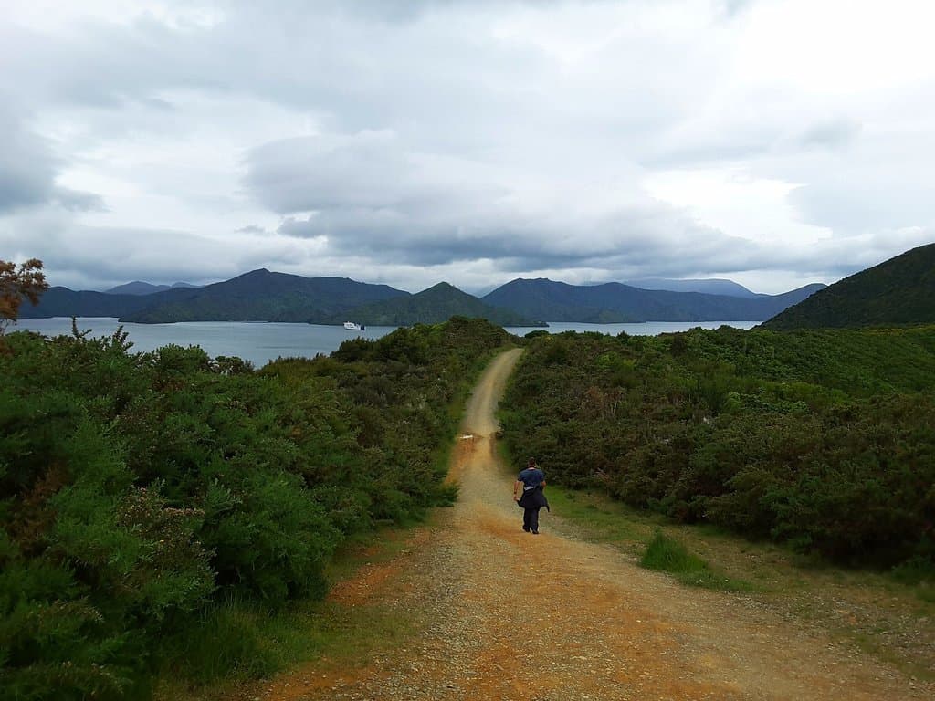 Towards Snout Track