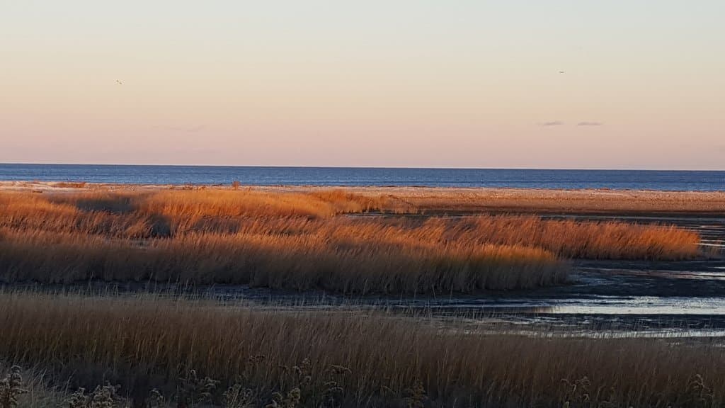Beautiful at Dusk