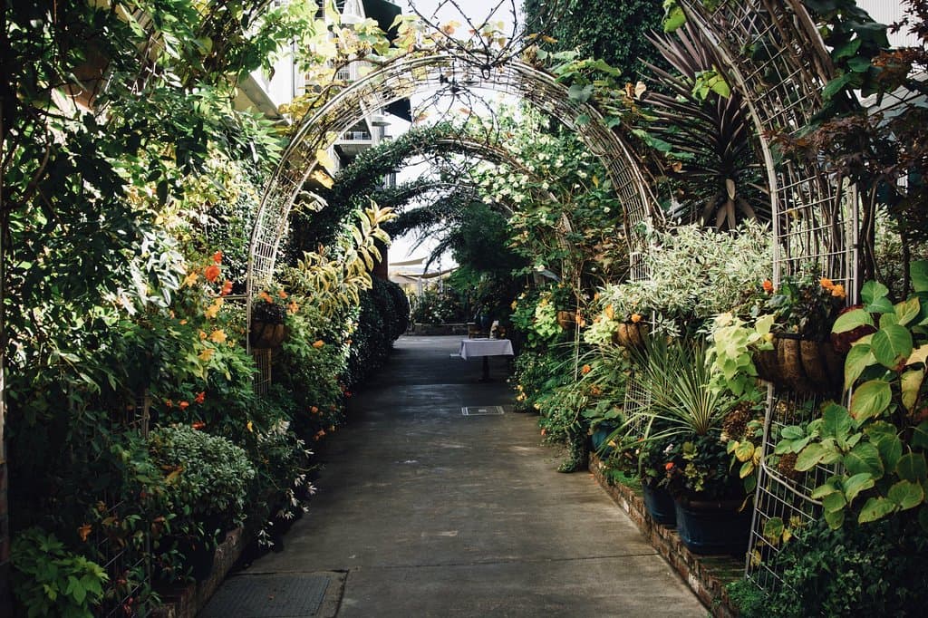 Outside Celadon Napa Valley