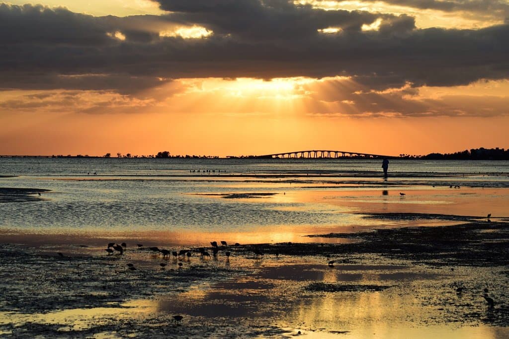 Bunche Beach Preserve