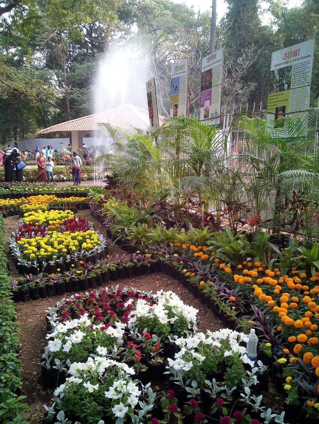 Garden