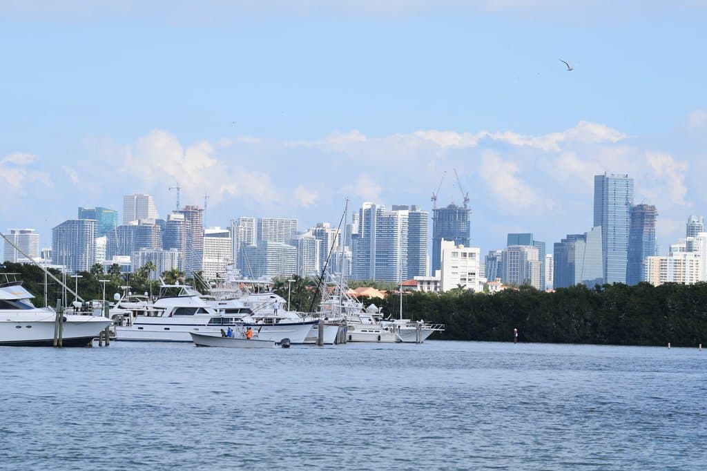 view from city hall
