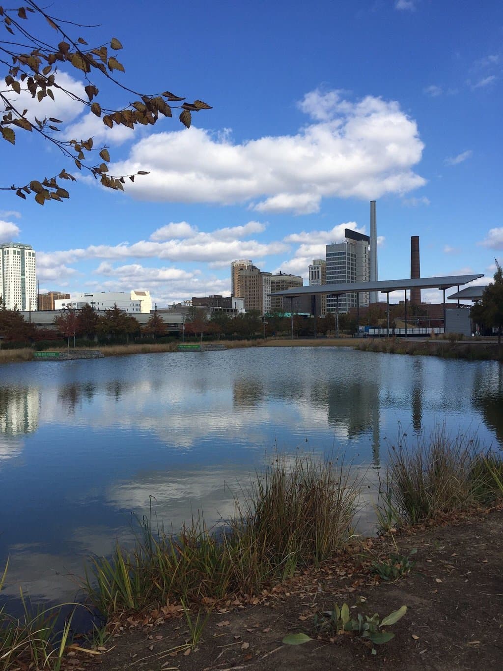 Birmingham's Railroad Park