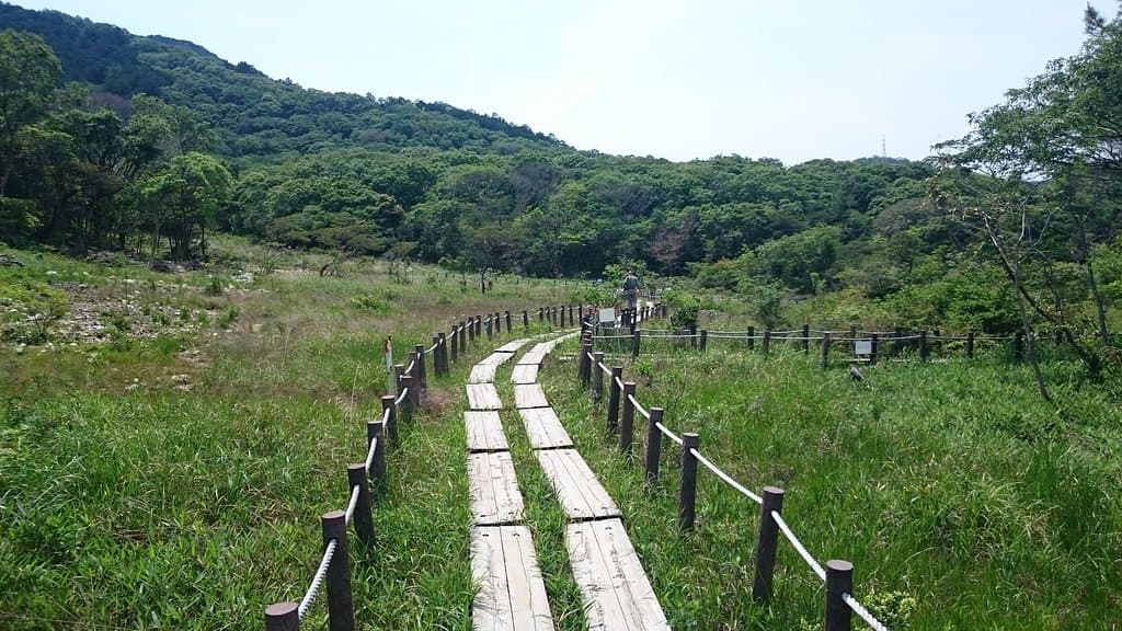 湿原の木道を歩く