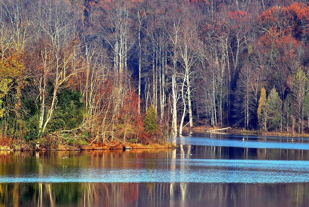 November's autumn foliage along Little Seneca Lake.