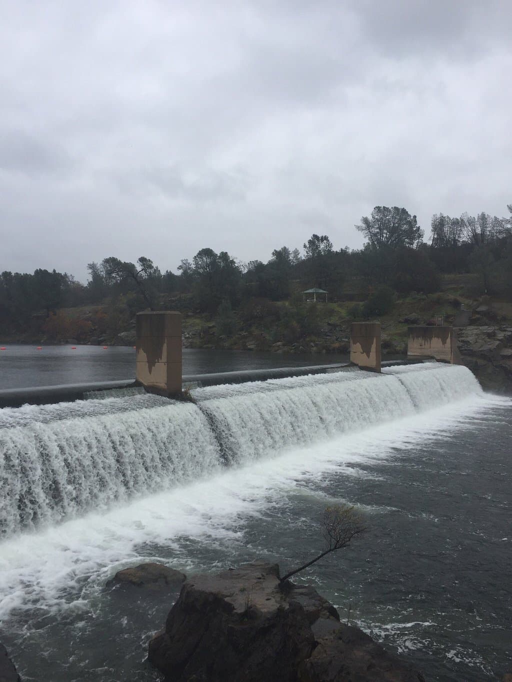 Feather River Fish Hatchery