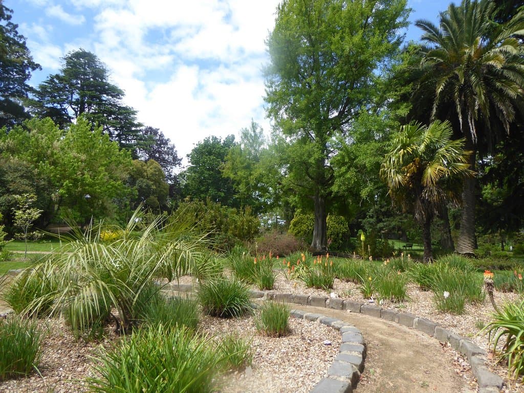 Pathway through Plantings