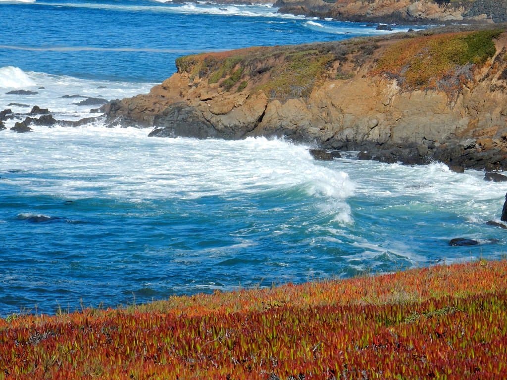 One of the many views along the Fiscalini Ranch Preserve Boardwalk