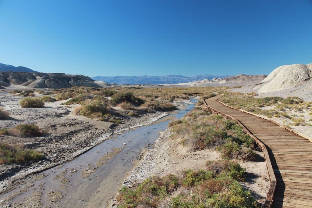 Salt Creek 3