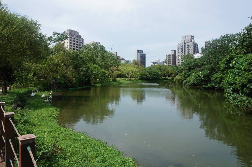 The park.