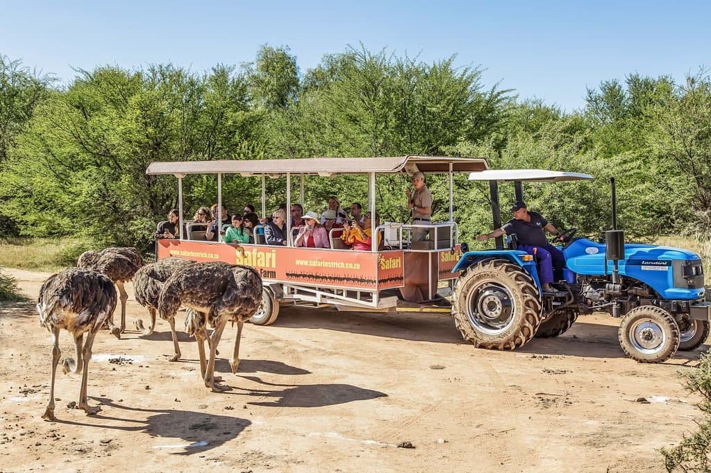 Safari Ostrich Farm