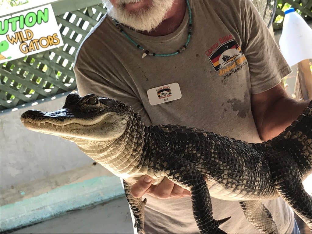 Go on an Airboat Ride