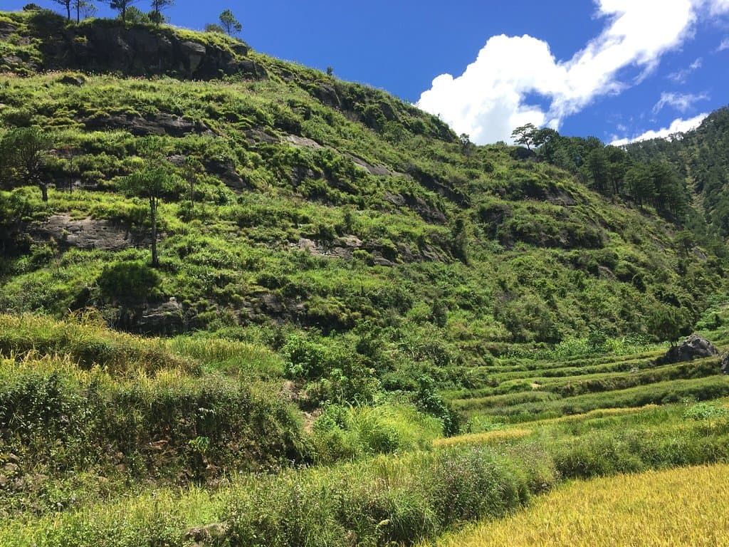 Aguid Rice Terraces