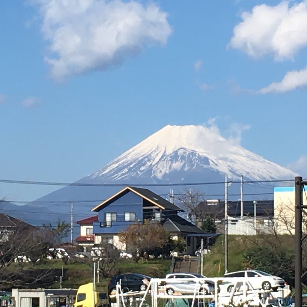 Izu Fruit Park
