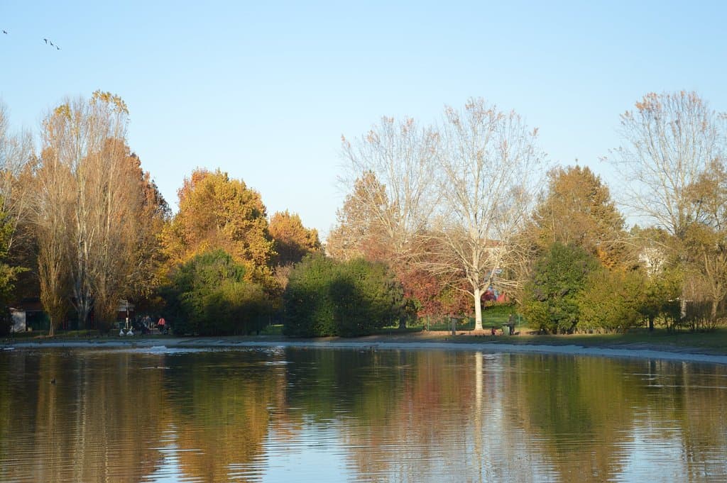 Laghetto del parco