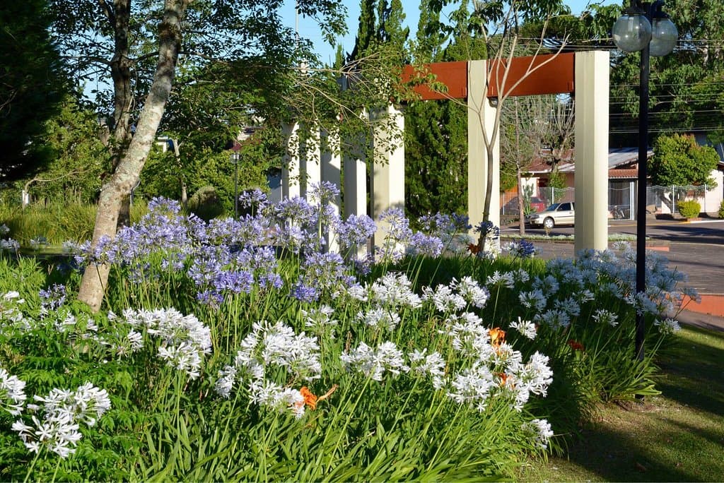 Praça da Matriz