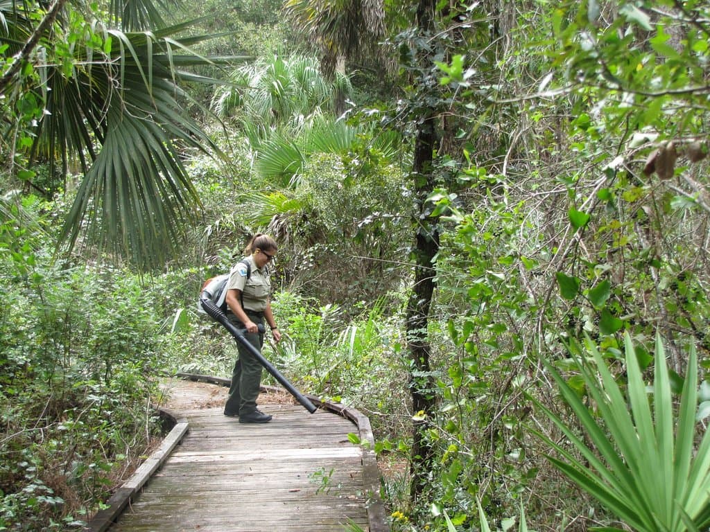 Park Ranger Clearing Trail Churchhouse Hammock