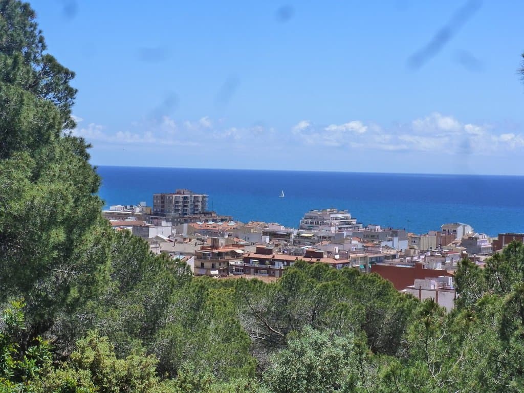 Вид на Калелью с парка.