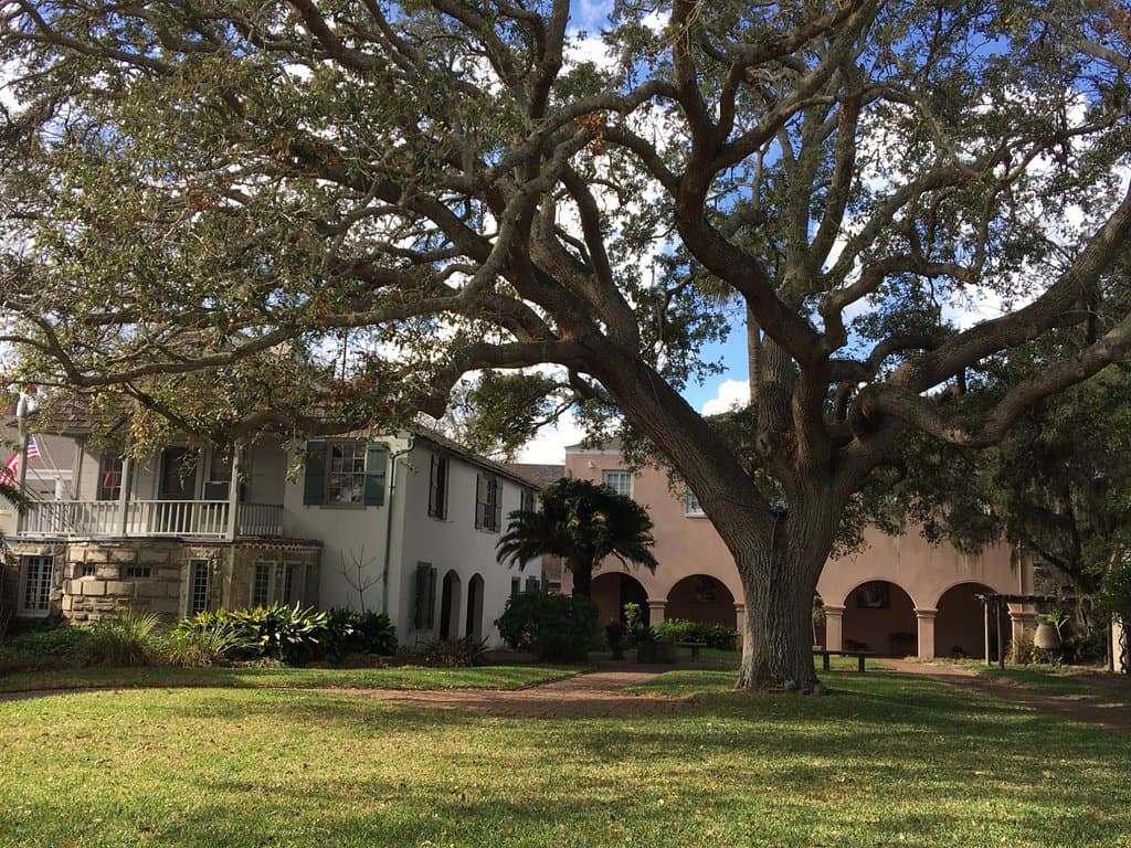 Some of the buildings in the complex.