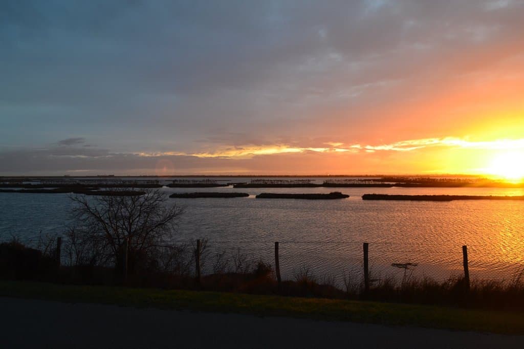 Po Delta Park