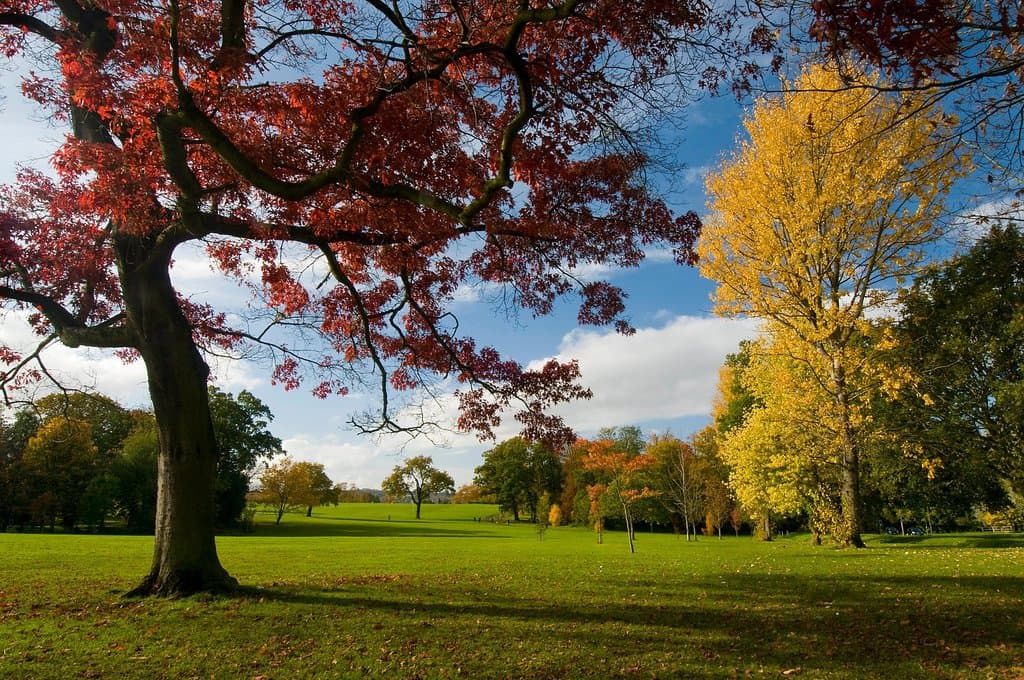 Autumn