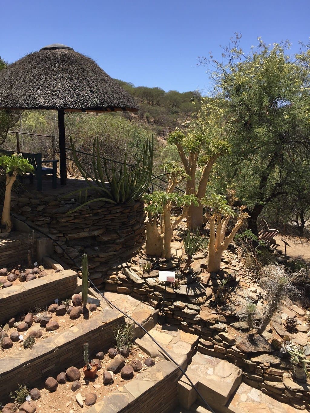 A peaceful walk around the botanical gardens. Well labeled, probably best to come after rainy se