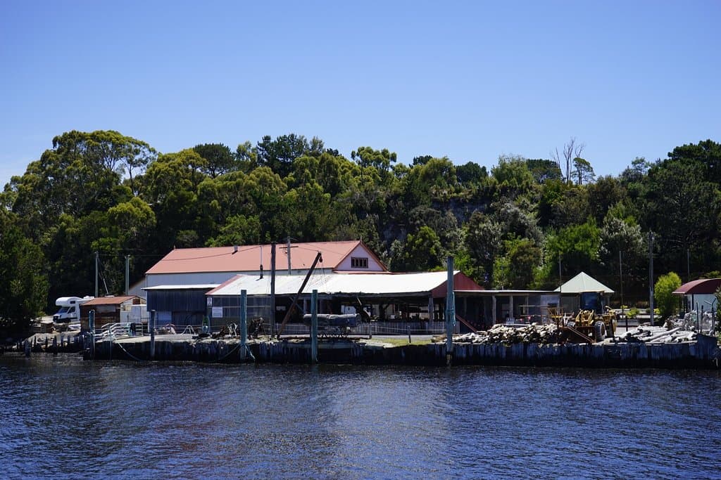 Huon Pine Sawmill Demonstration
